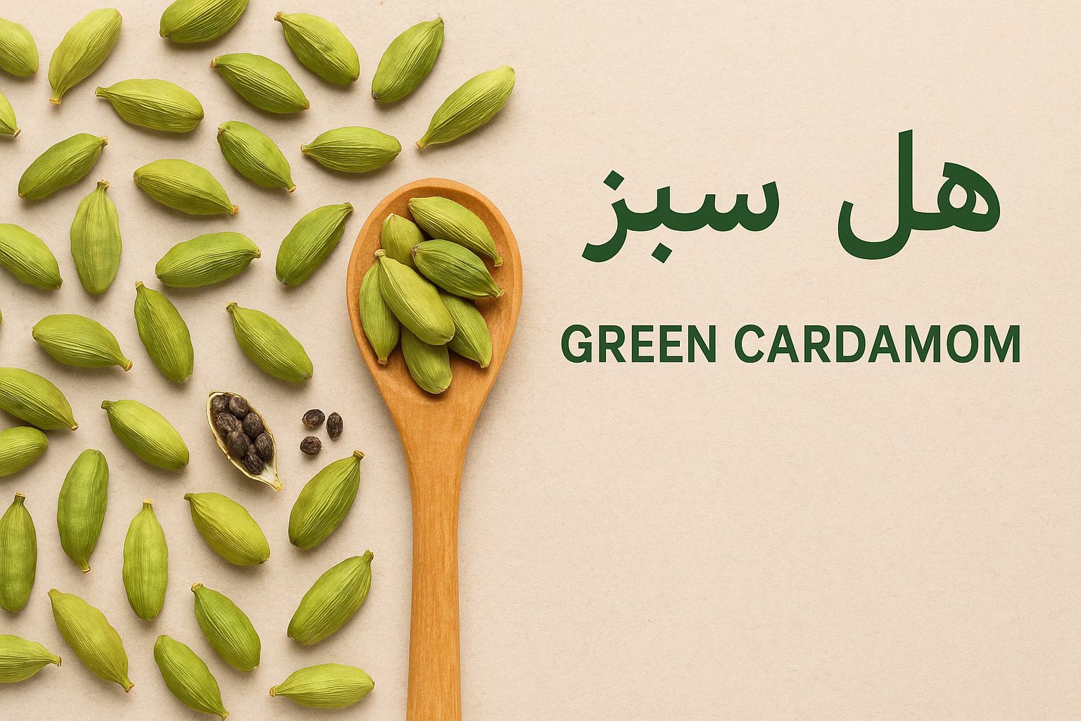 خواص هل سبز؛ ادویهای خوشعطر برای زیبایی، لاغری و آرامش هل سبز