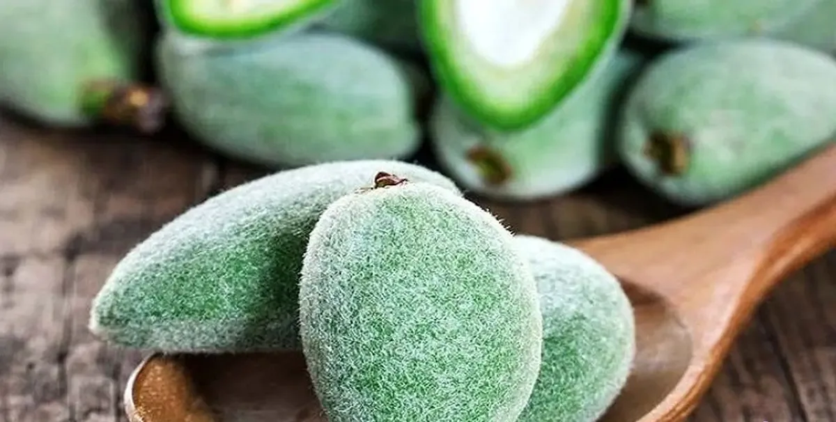 فواید شگفت‌انگیز چغاله بادام