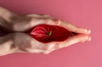 چیکار کنم باسنم سریع بزرگ بشه؟ راهکارهای مؤثر در خانه و ورزش Vaginal tightening