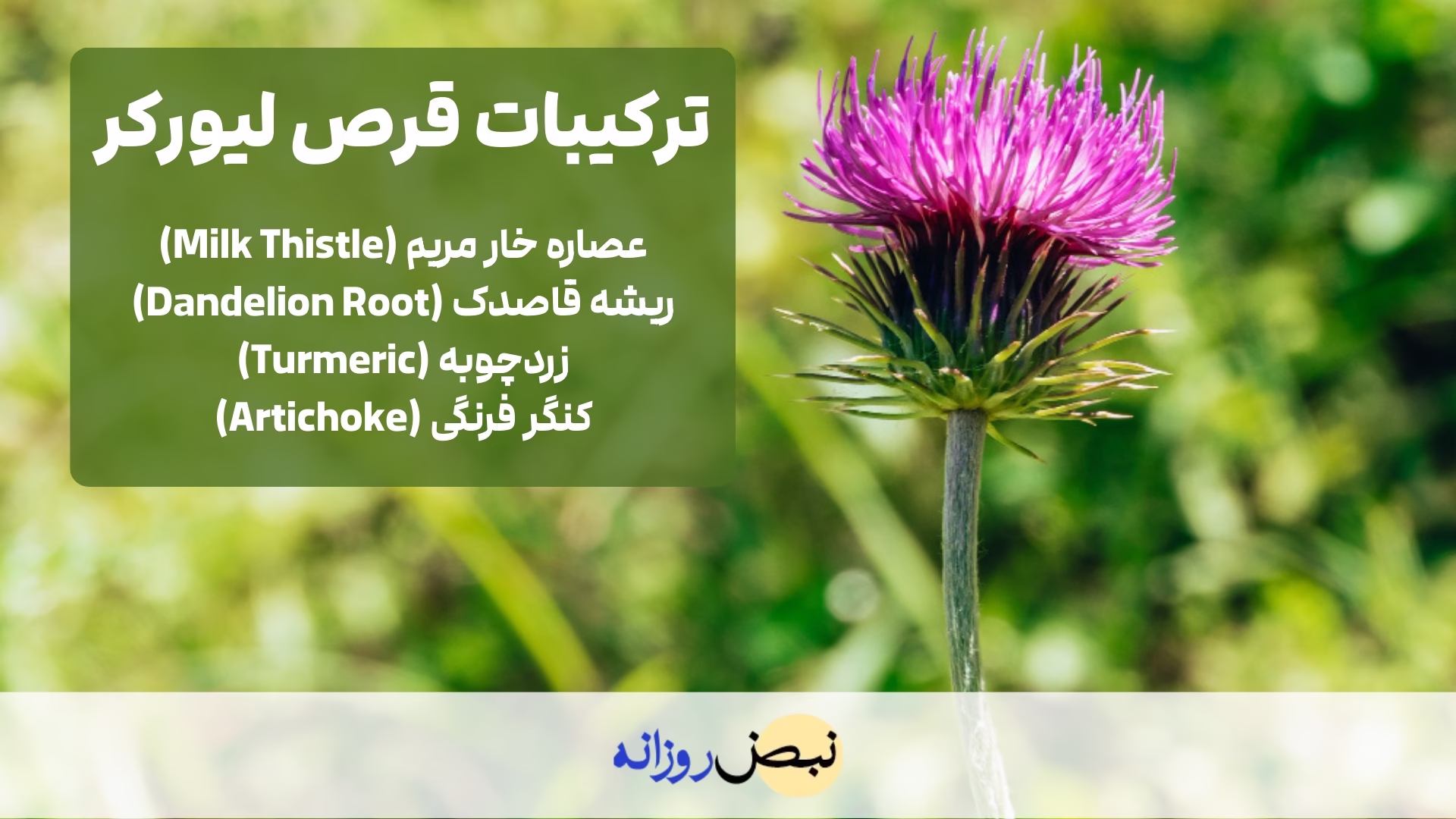ترکیبات قرص لیورکر